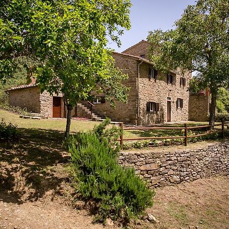 Apartamento Borgo Al Teto La Vite Castiglion Fiorentino Exterior foto