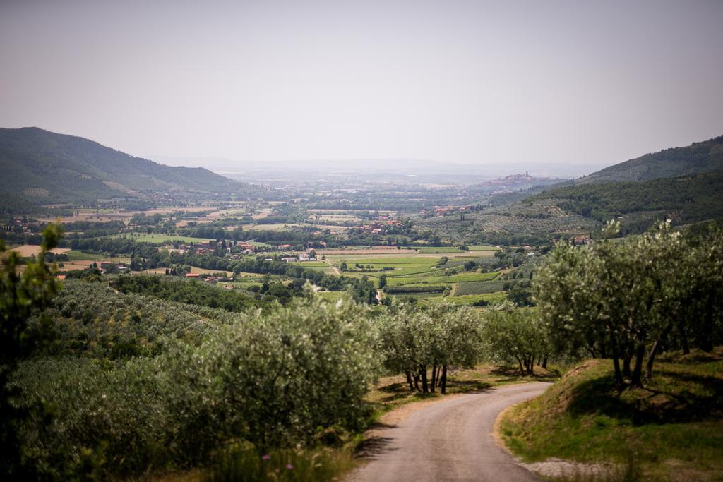 Apartamento Borgo Al Teto La Vite Castiglion Fiorentino Exterior foto