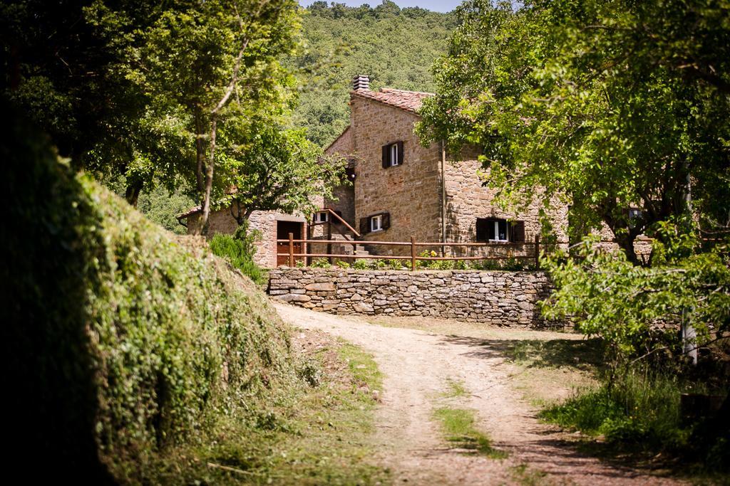 Apartamento Borgo Al Teto La Vite Castiglion Fiorentino Exterior foto