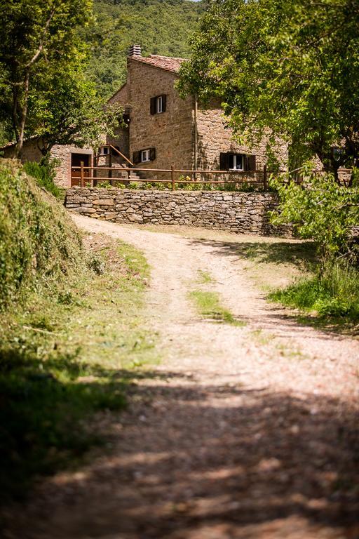 Apartamento Borgo Al Teto La Vite Castiglion Fiorentino Exterior foto