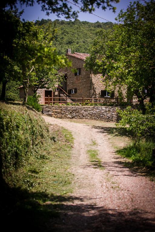 Apartamento Borgo Al Teto La Vite Castiglion Fiorentino Exterior foto
