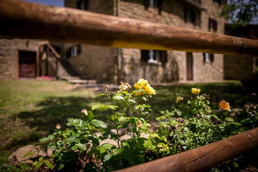 Apartamento Borgo Al Teto La Vite Castiglion Fiorentino Exterior foto