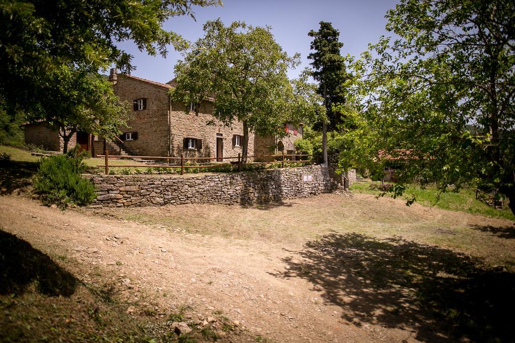 Apartamento Borgo Al Teto La Vite Castiglion Fiorentino Exterior foto