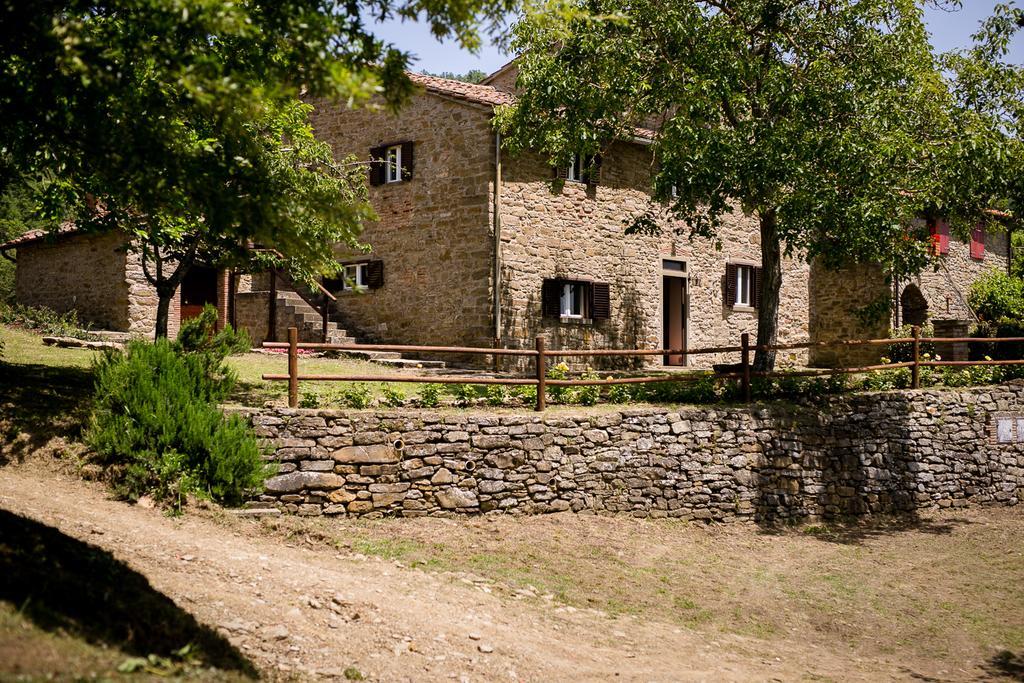 Apartamento Borgo Al Teto La Vite Castiglion Fiorentino Exterior foto