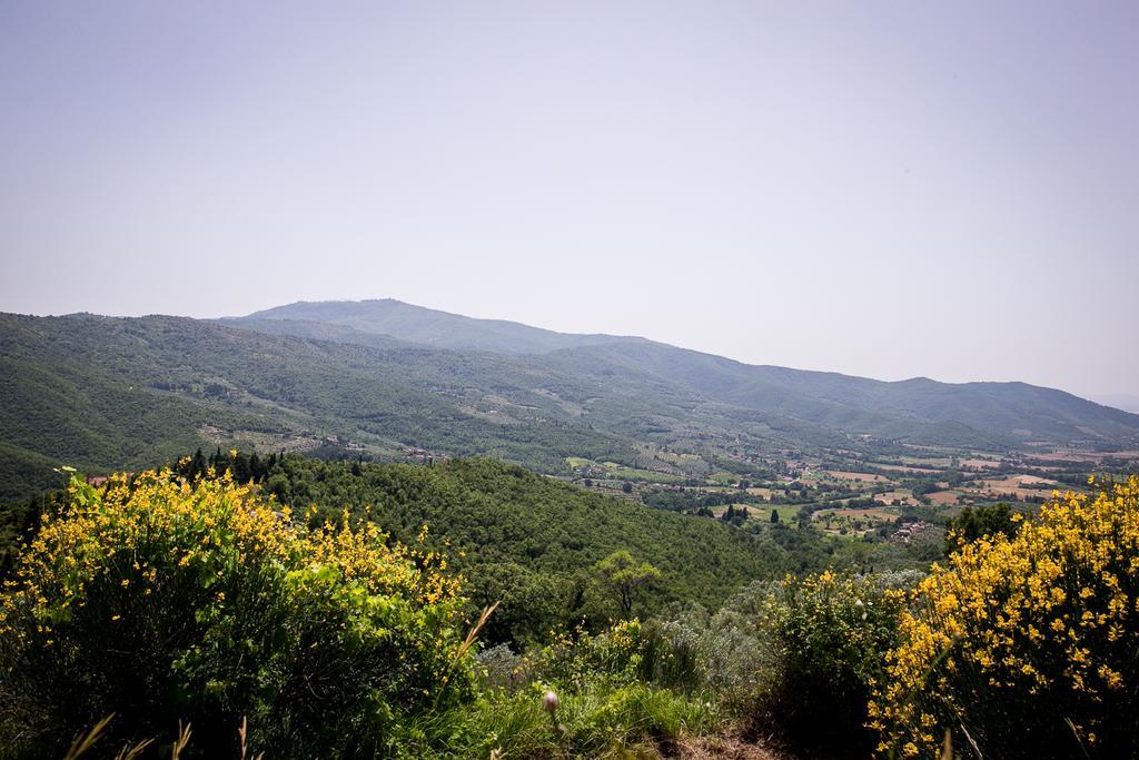 Apartamento Borgo Al Teto La Vite Castiglion Fiorentino Exterior foto