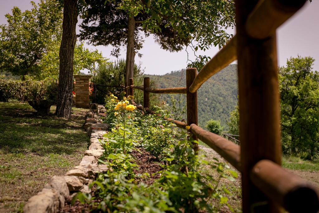 Apartamento Borgo Al Teto La Vite Castiglion Fiorentino Exterior foto