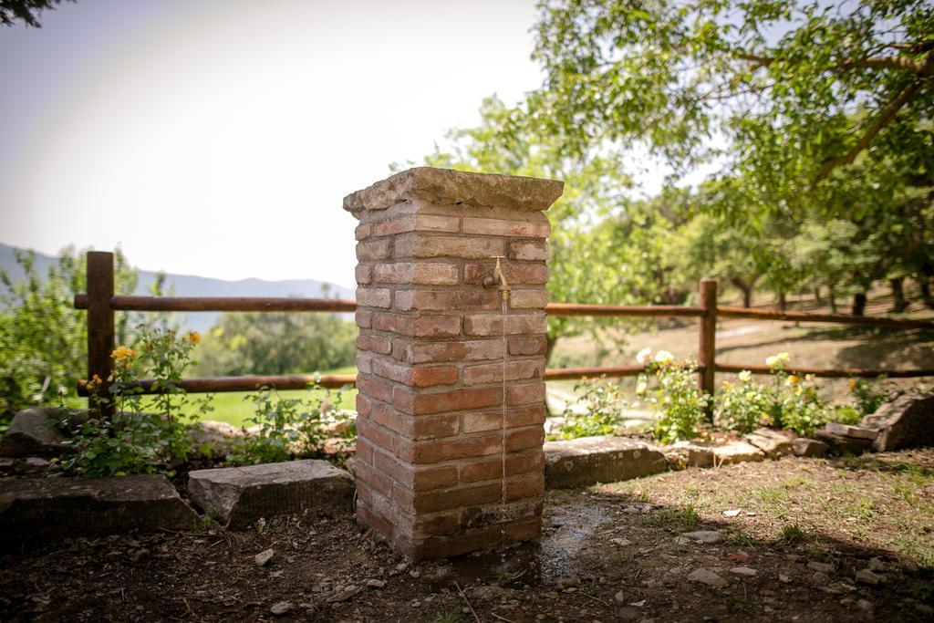 Apartamento Borgo Al Teto La Vite Castiglion Fiorentino Exterior foto