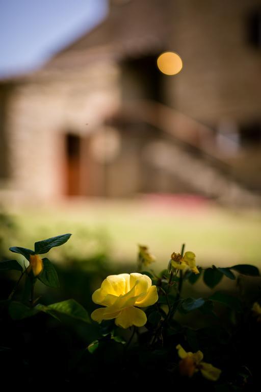 Apartamento Borgo Al Teto La Vite Castiglion Fiorentino Exterior foto